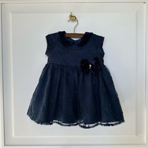 Pippa & Julie | Navy Velvet and Floral Lace Dress